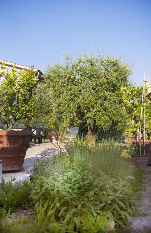 Dolce Sosta Hotel Лука Екстериор снимка